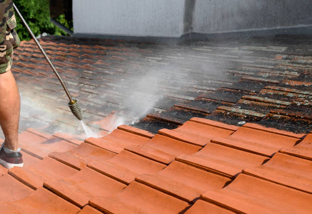 Best Roof Power Washing Services  in Edgewater, MD