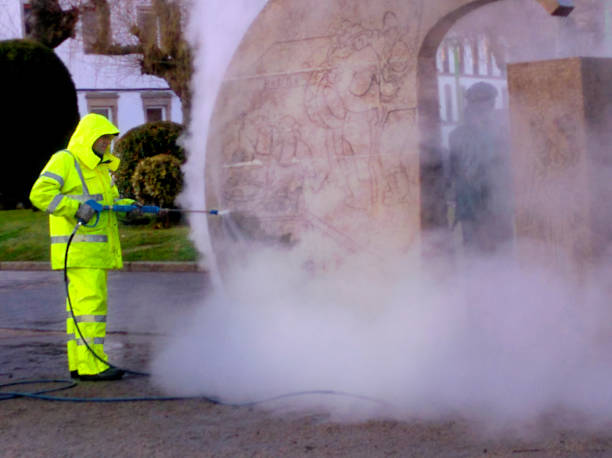 Best Roof Pressure Washing  in Edgewater, MD
