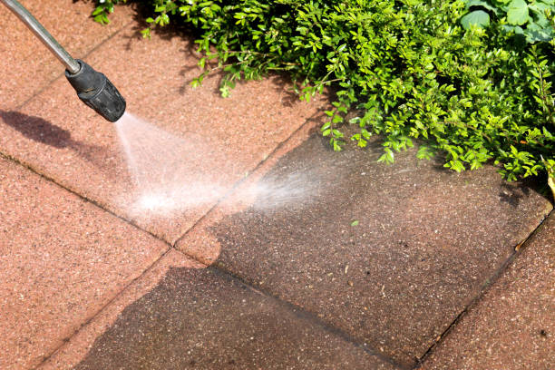 Best Fence Pressure Washing  in Edgewater, MD